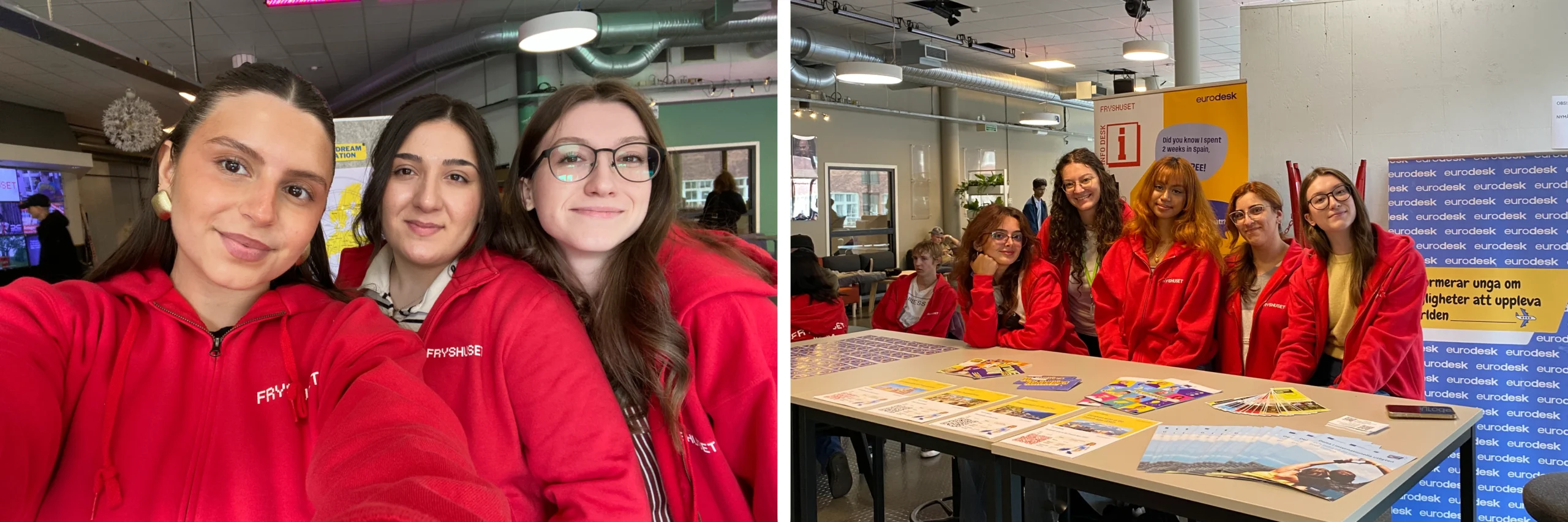 ESC volunteers at Fryshuset