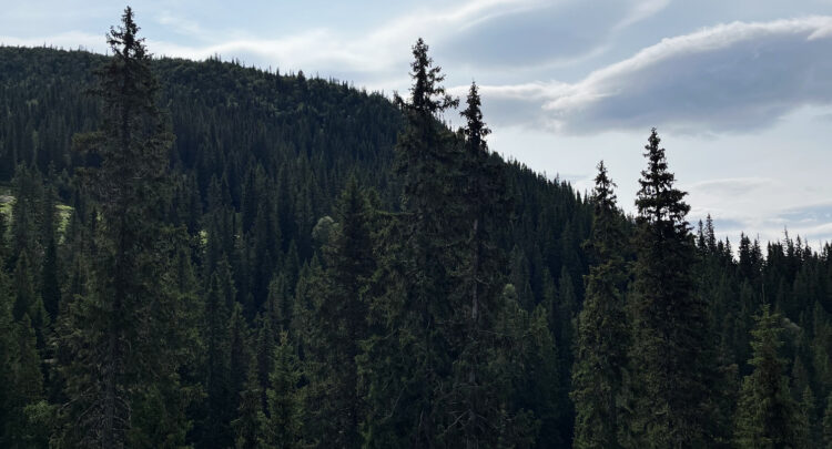 header-ut-fryshuset
